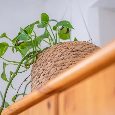 Seaview Escape Summer Nights 3* マルサスカーラ