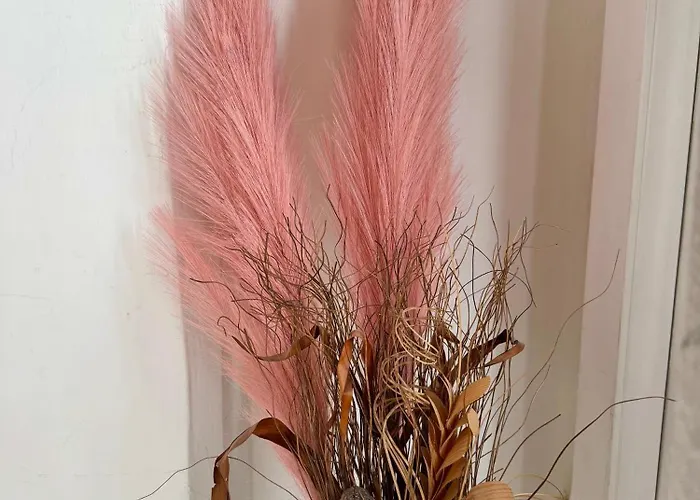 Seaview Escape Summer Nights 3* Марсаскала